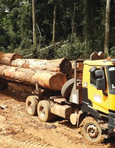 Logging Renault Trucks in Cameroon